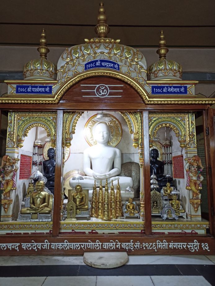 Shri Digamber Jain Bada Mandir, Maithil Para, Durg (Chhattisgarh) image 6