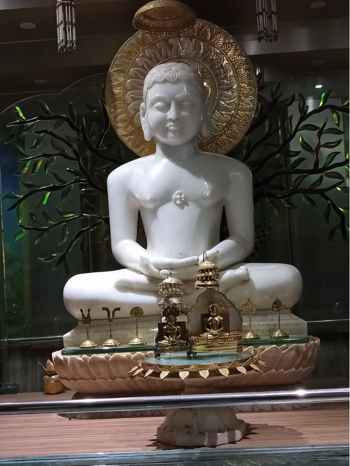 Shri Digamber Jain Bada Mandir, Maithil Para, Durg (Chhattisgarh) image 8