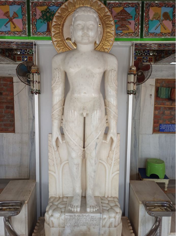 Shri Digamber Jain Bada Mandir, Maithil Para, Durg (Chhattisgarh) image 9