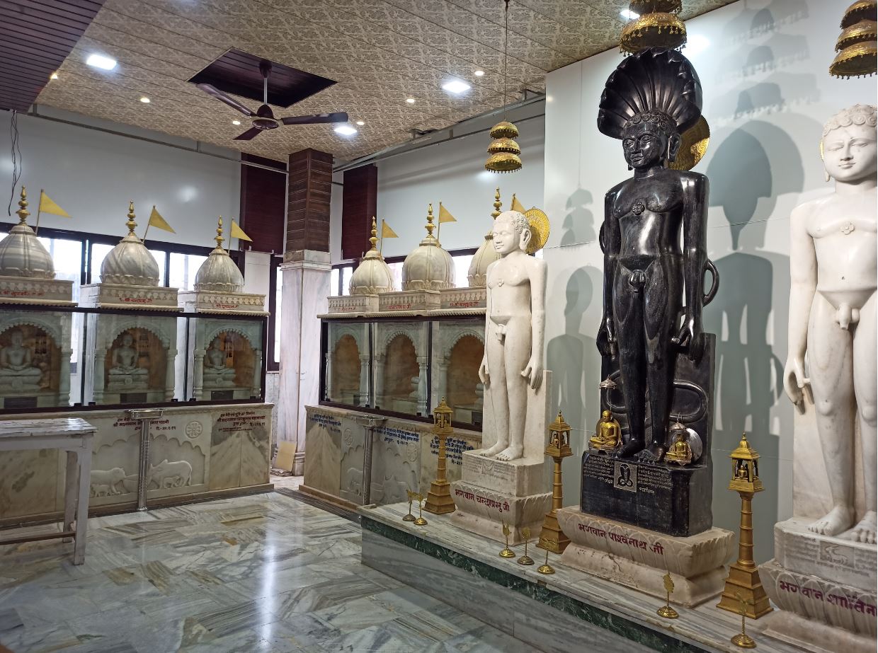 Shri Digamber Jain Bada Mandir, Maithil Para, Durg (Chhattisgarh) image 10