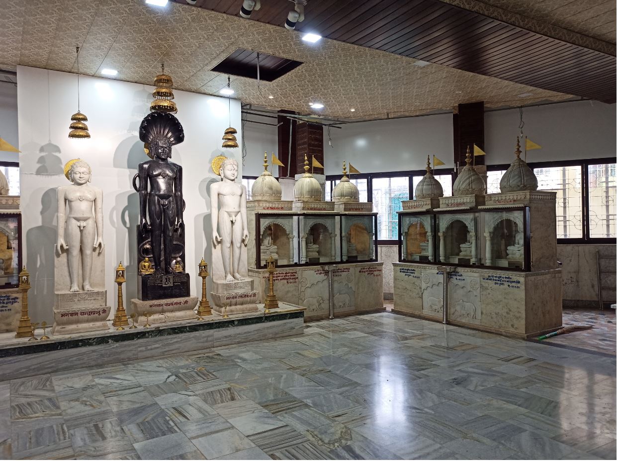 Shri Digamber Jain Bada Mandir, Maithil Para, Durg (Chhattisgarh) image 11