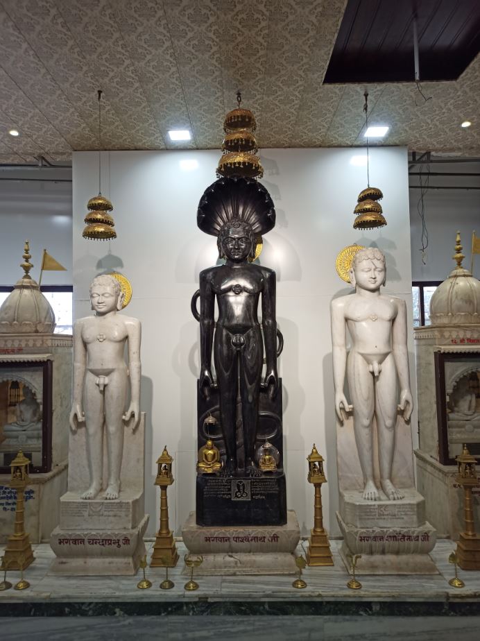 Shri Digamber Jain Bada Mandir, Maithil Para, Durg (Chhattisgarh) image 12