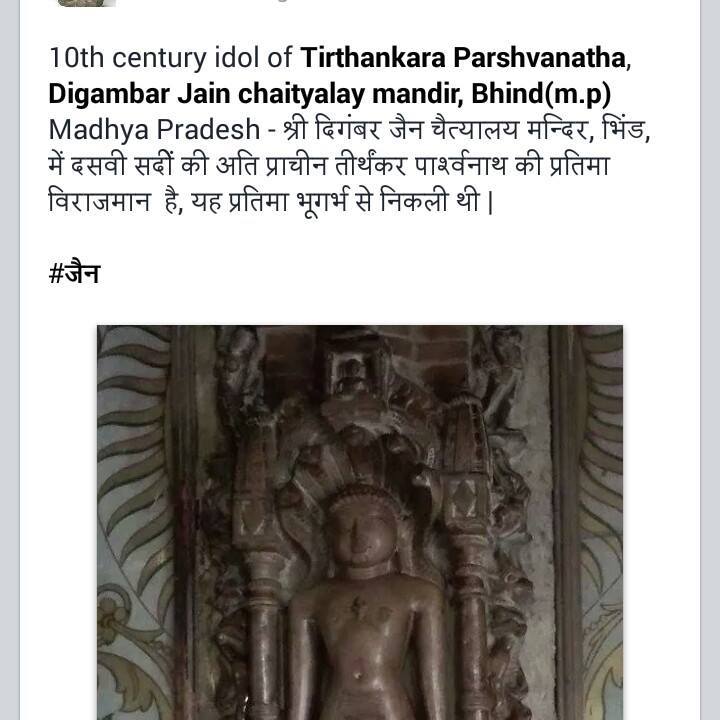 Shri 1008 Adinath Digamber Jain Chaitalaya, Batasa Bazar, Bhind (M.P.) image 1