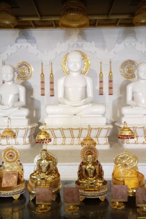 Shri Digamber Jain Mandir, Tin Shade, T T Nagar, Bhopal (M.P.) image 4