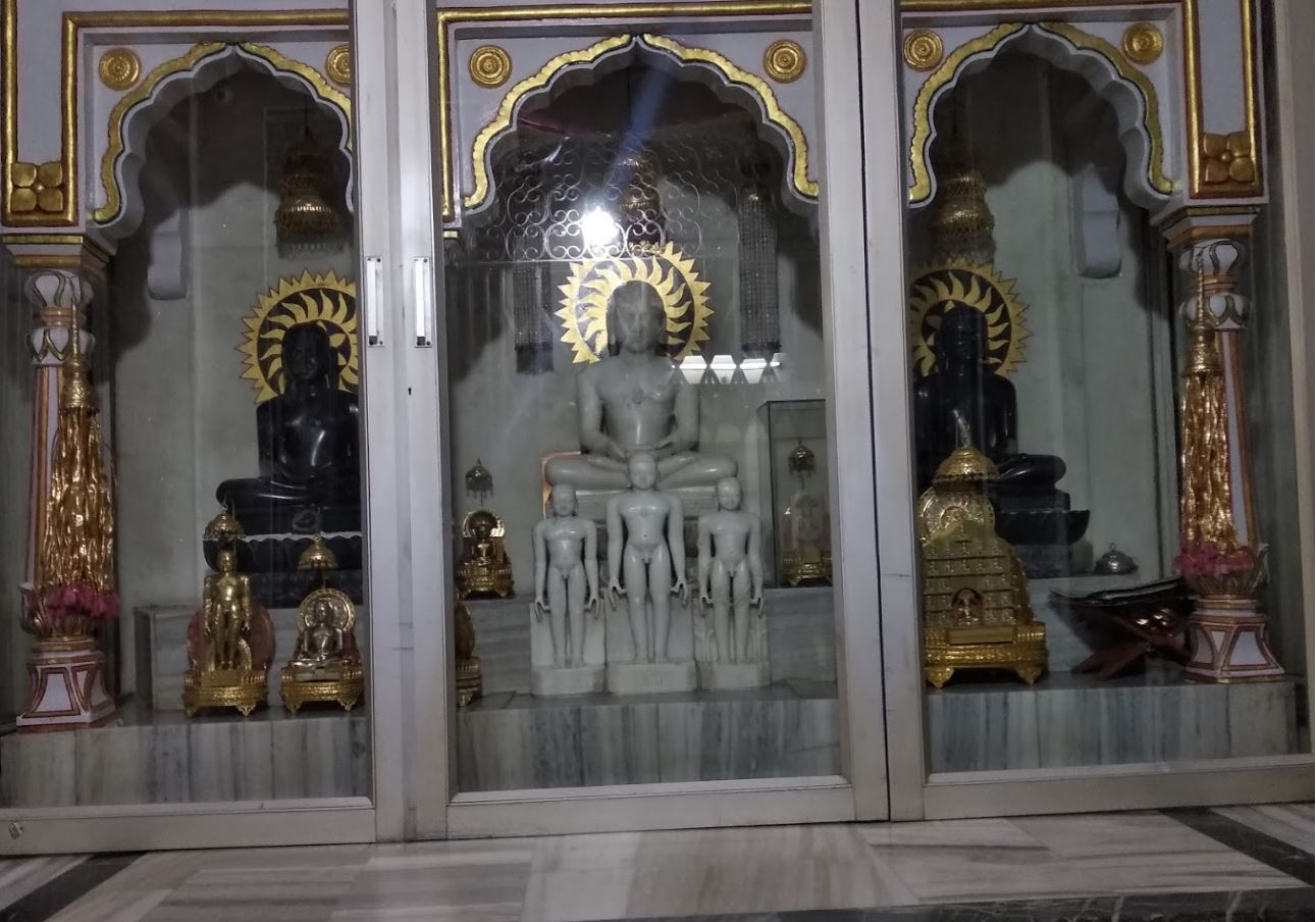 Shri Digamber Jain Terapanthi Mandir, Savindnagar, Tilak Nagar, Indore (M.P.) image 1