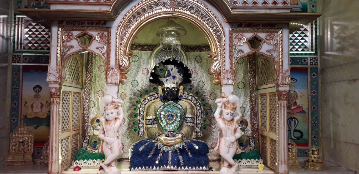 Shri Shwetamber Jain Mandir, Sadar Bazar, Rajnandgaon (Chhattisgarh) image 3