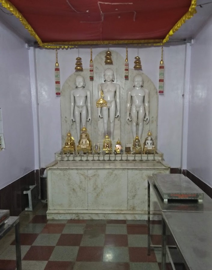 Shri Parshvnath Digamber Jain Choubisi Mandir, Panchsheel Nagar, Bhopal (M.P.) image 3