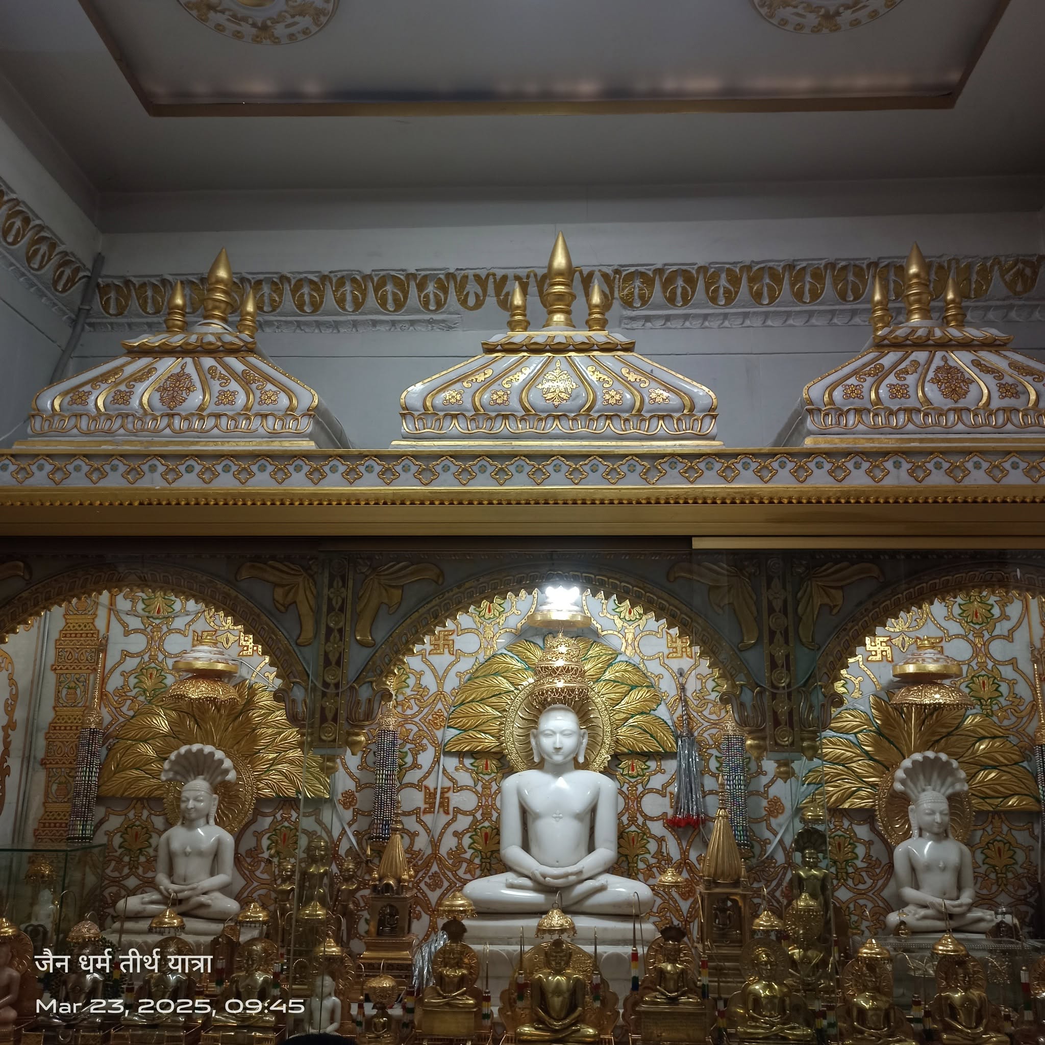 Shri Parshvanath Digamber Jain Mandir, Lordganj, Jabalpur (M.P.) image 8