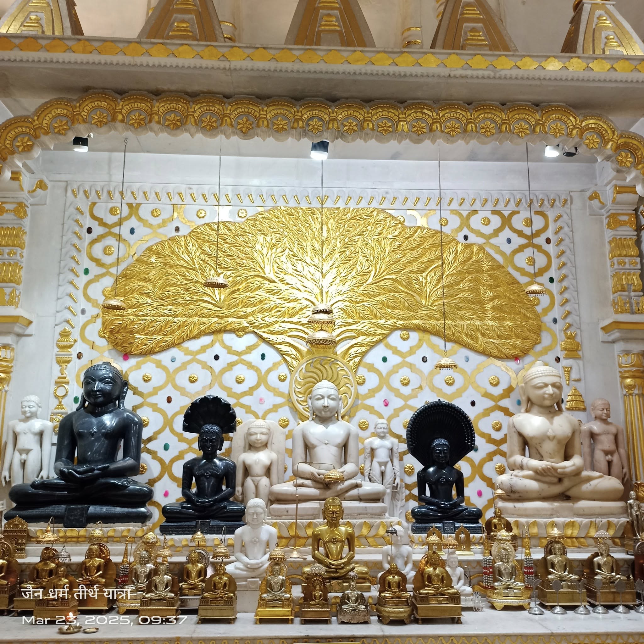 Shri Parshvanath Digamber Jain Mandir, Lordganj, Jabalpur (M.P.) image 19
