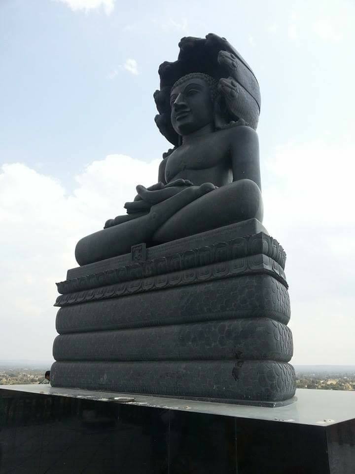 Shri Digambar Jain Teerth Kshetra, Pushpagiri,  District-Dewas (M.P.) image 2