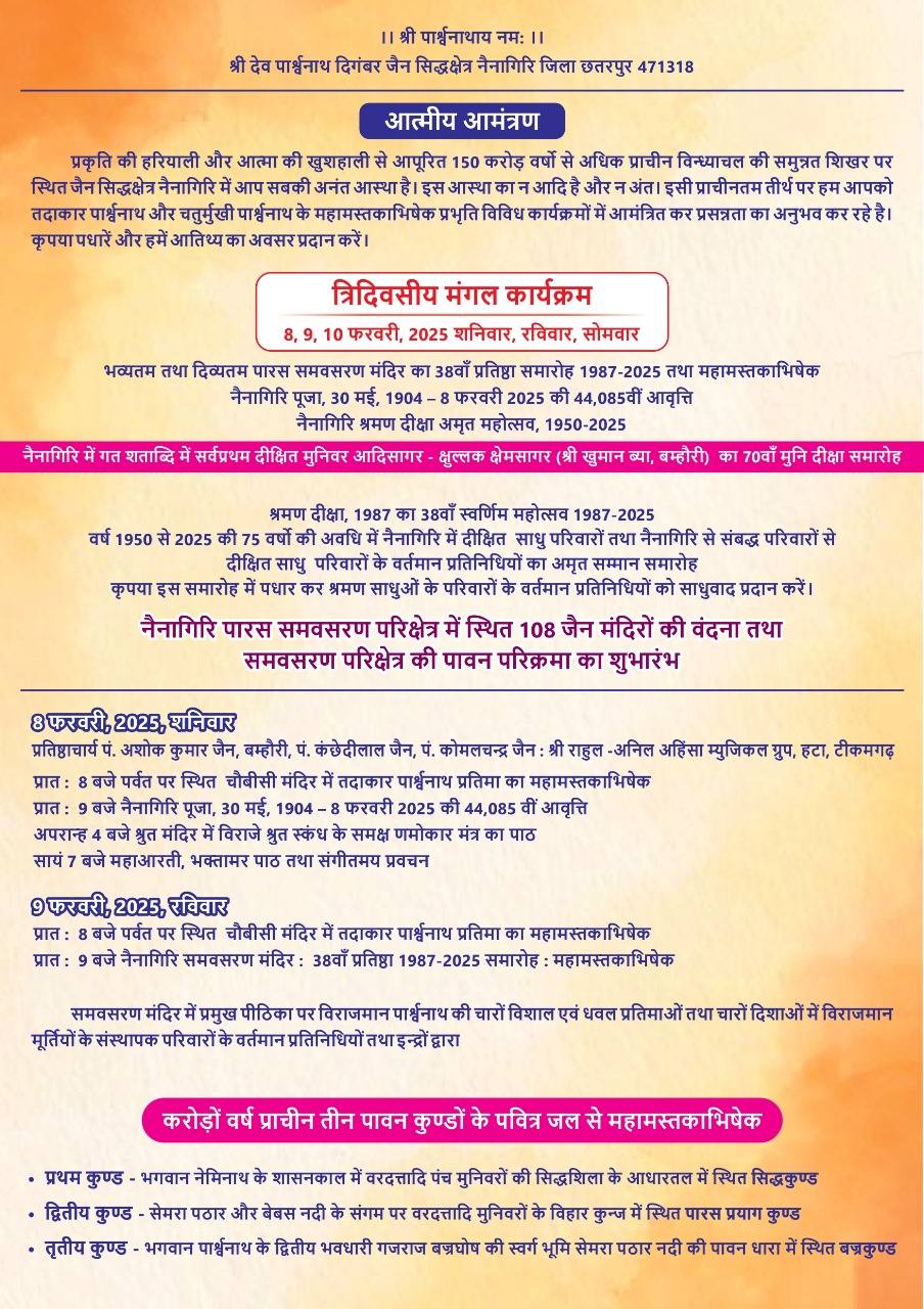 Shri 1008 Digambar Jain Siddha Kshetra Nainagiri (Reshandigir), District-Chhatarpur (M.P.) image 3
