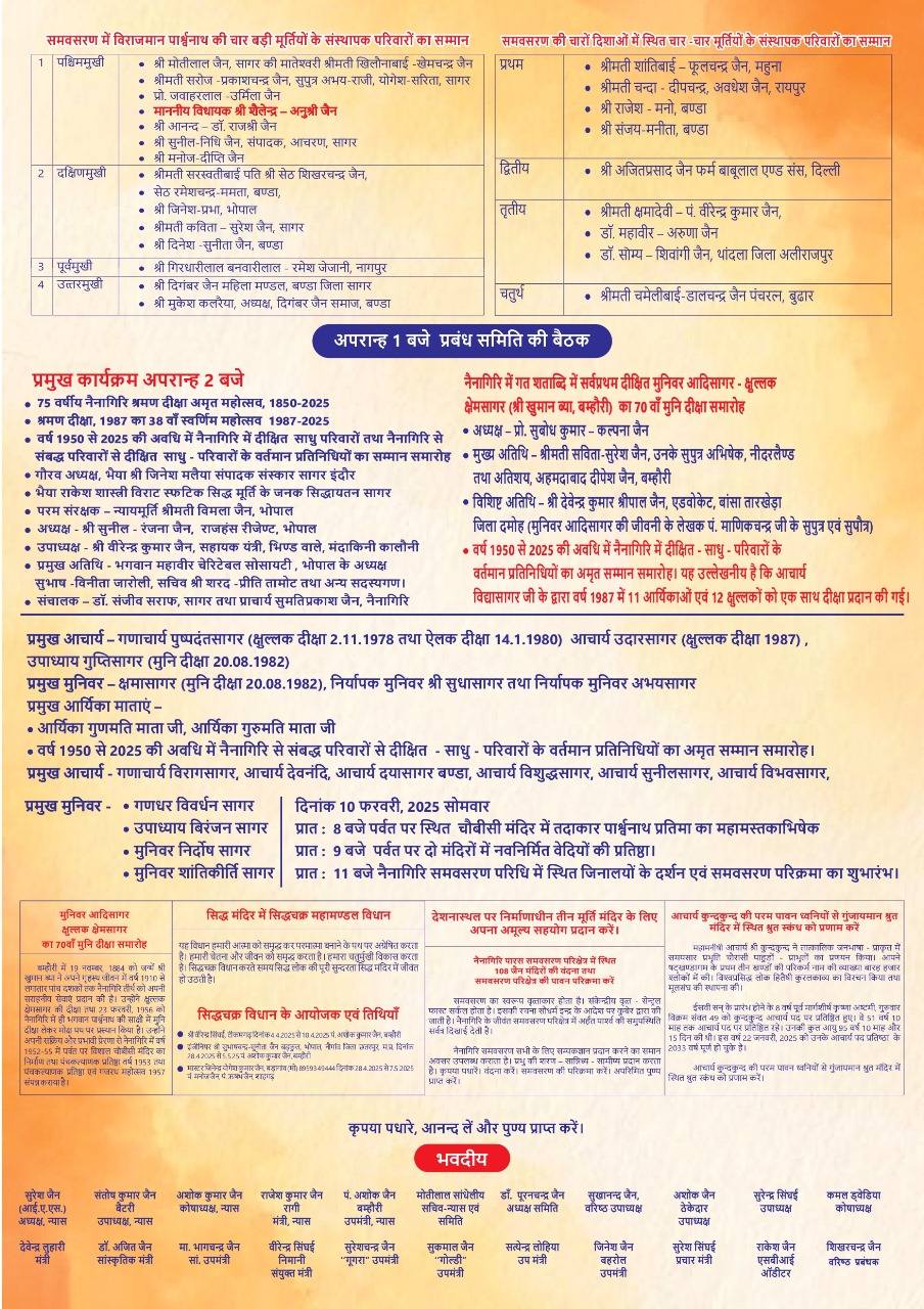 Shri 1008 Digambar Jain Siddha Kshetra Nainagiri (Reshandigir), District-Chhatarpur (M.P.) image 4