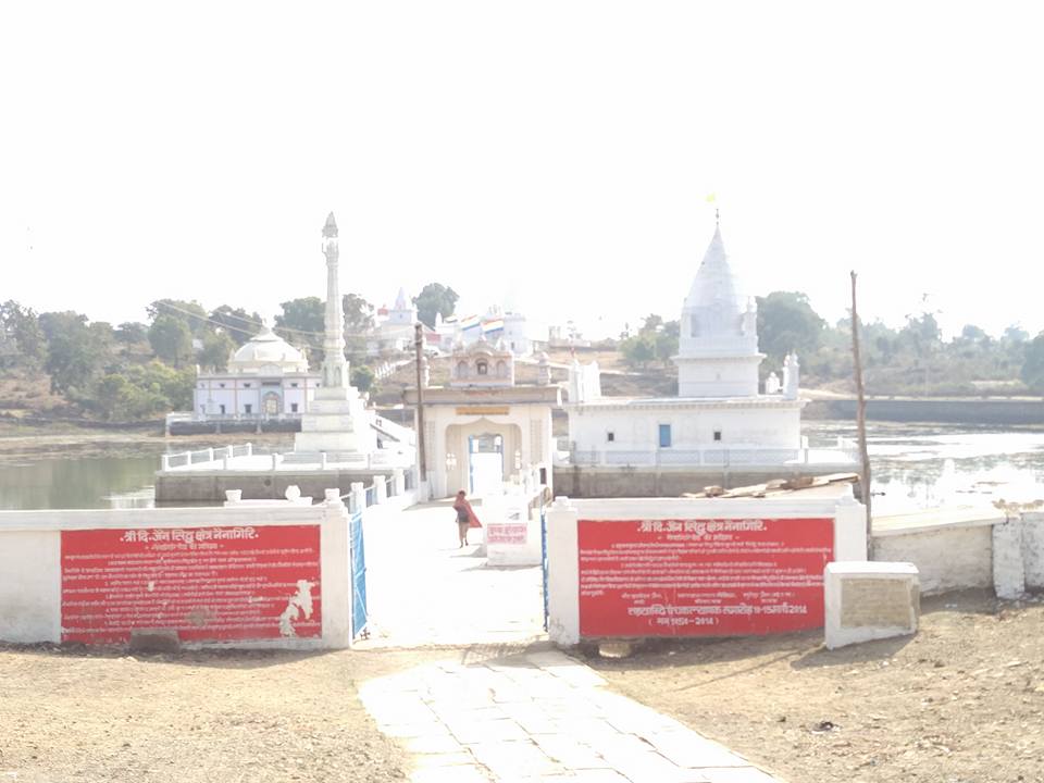 Shri 1008 Digambar Jain Siddha Kshetra Nainagiri (Reshandigir), District-Chhatarpur (M.P.) image 8