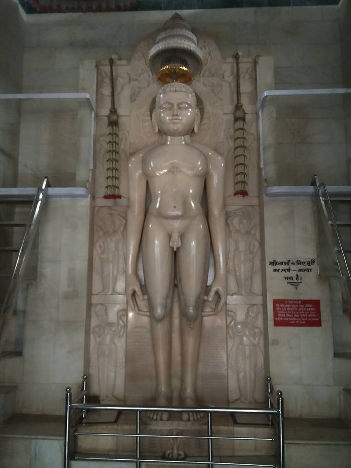 Shri 1008 Digambar Jain Siddha Kshetra Nainagiri (Reshandigir), District-Chhatarpur (M.P.) image 10