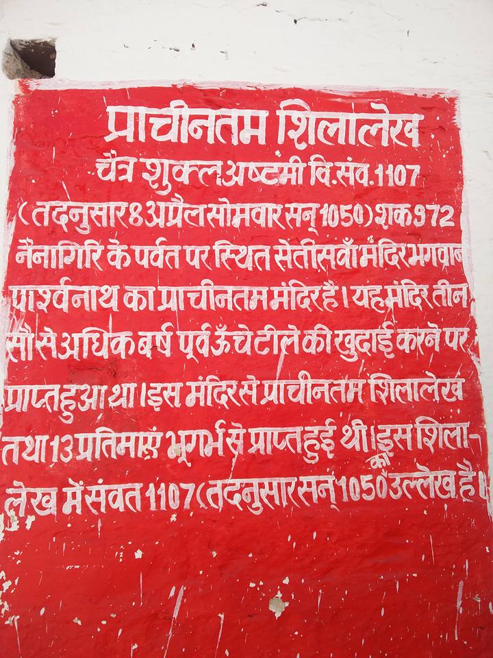 Shri 1008 Digambar Jain Siddha Kshetra Nainagiri (Reshandigir), District-Chhatarpur (M.P.) image 18