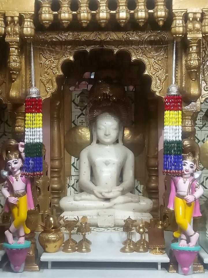 Shri 1008 Adinath Digamber Jain Mandir Atishaya Kshetra, Kakaganj, Sagar (M.P.) image 2
