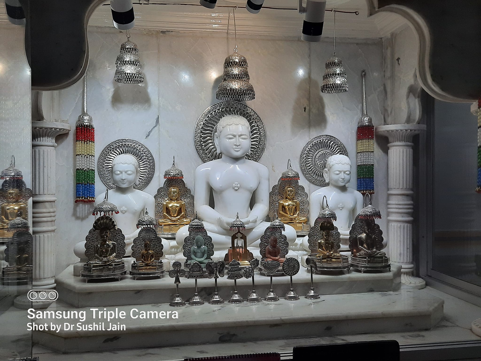 Shri 1008 Parshvnath Digamber Jain Mandir, Ankur Colony, Makroniya, Sagar (M.P.) image 6