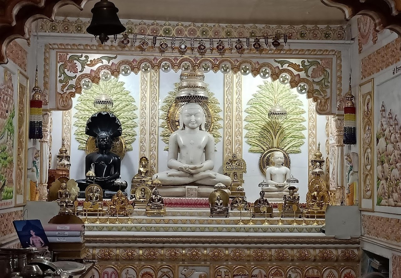 Shri Parshvnath Digamber Jain Mandir Choudhran Bai, Vivekanand Ward, Bada Bazar, Sagar (M.P.) image 2