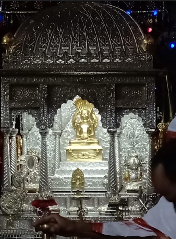 Shri Digamber Jain Mandir (Bada), Bada Bazar, Sagar (M.P.) image 3