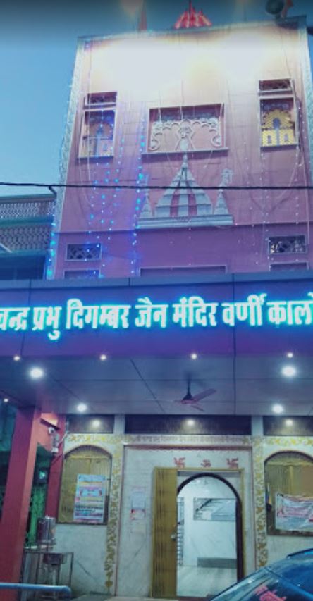 Shri Chandraprabhu Digamber Jain Mandir, Varni Colony, Sagar (M.P.) image 1