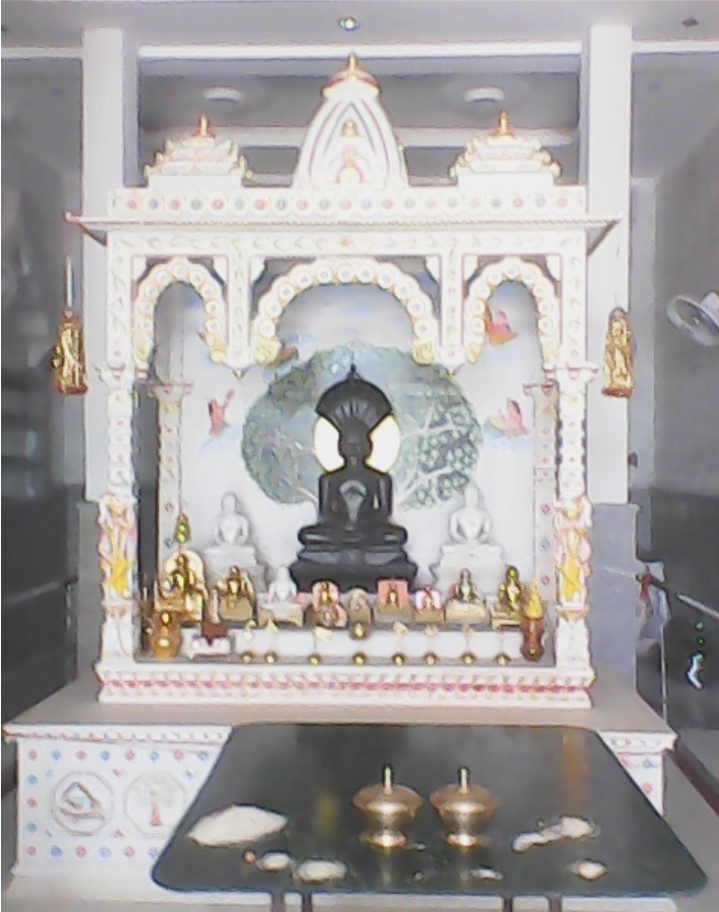 Shri Parshvnath Digamber Jain Mandir, Vardhman Colony, Laxmipura, Sagar (M.P.) main image