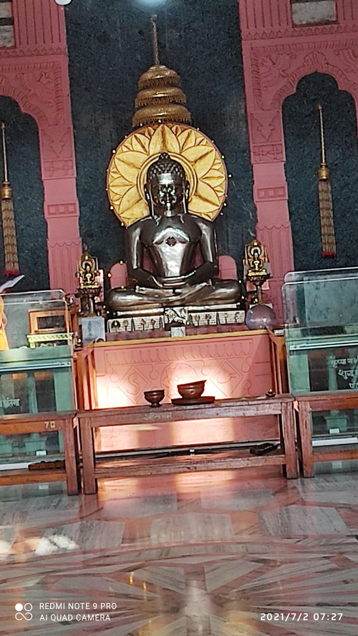 Shri Digamber Jain Mahaveer Mandir and Choubisi Jinalaya, Samnapur, Lakhnadon. District - Seoni (M.P.) image 8