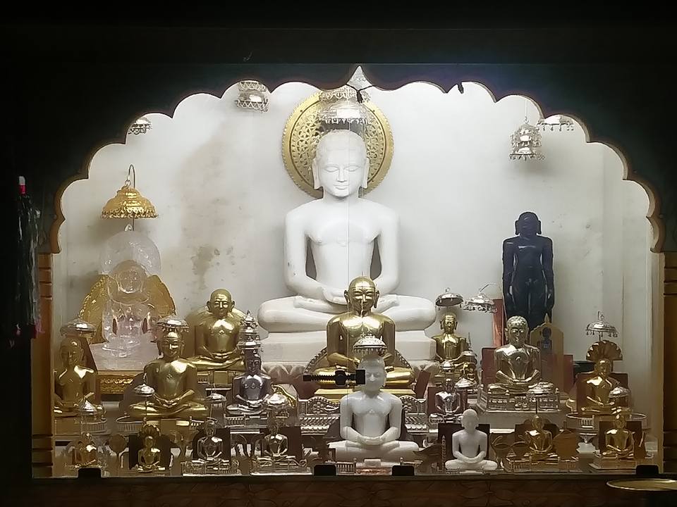 Shri Digamber Jain Shanti Nikunj Udasin Ashram, Kakaganj, Sagar (M.P.) thumbnail 3