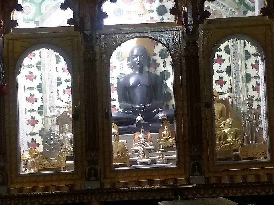 Shri Digamber Jain Shanti Nikunj Udasin Ashram, Kakaganj, Sagar (M.P.) image 8