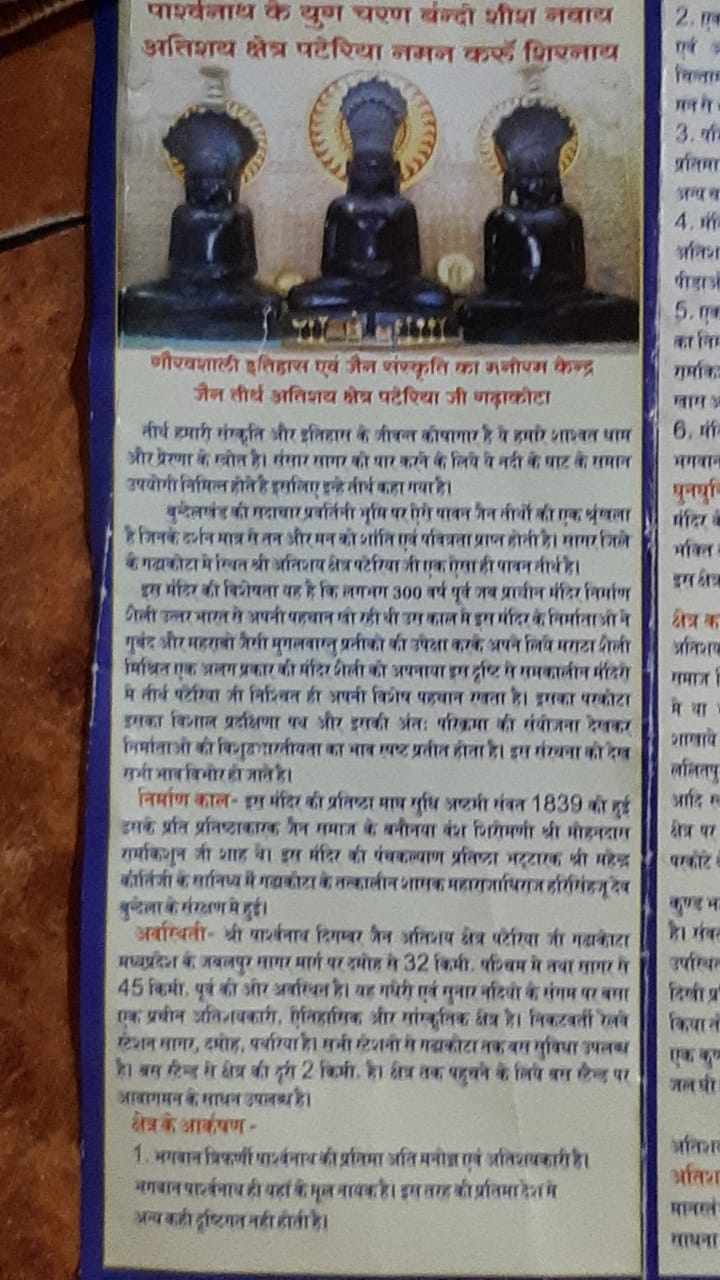 Shri Parshvnath Digamber Jain Atishaya Kshetra - Pateria, Garhakota, District – Sagar (M.P.) image 9