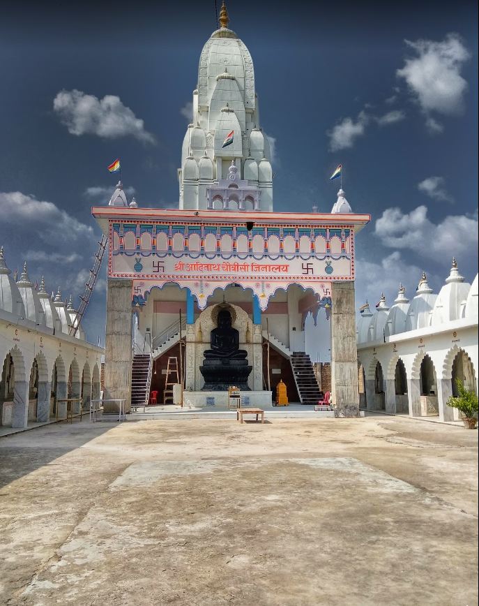 Shri 1008 Digamber Jain Siddha Kshetra, Falhodi-Badagaon, District-Tikamgarh (Madhya Pradesh) image 8