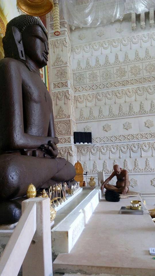 Shri Digamber Jain Siddha Kshetra Kundalgiri (Kundalpur), District-Damoh (M.P.) image 4