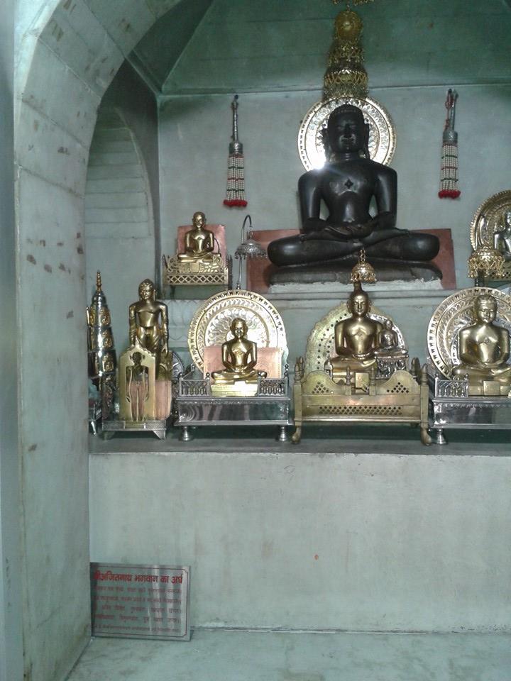 Shri Digambar Jain Atishaya Kshetra Barahi (Vallabhpur), Village-Barahi, District-Bhind (M.P.) image 4
