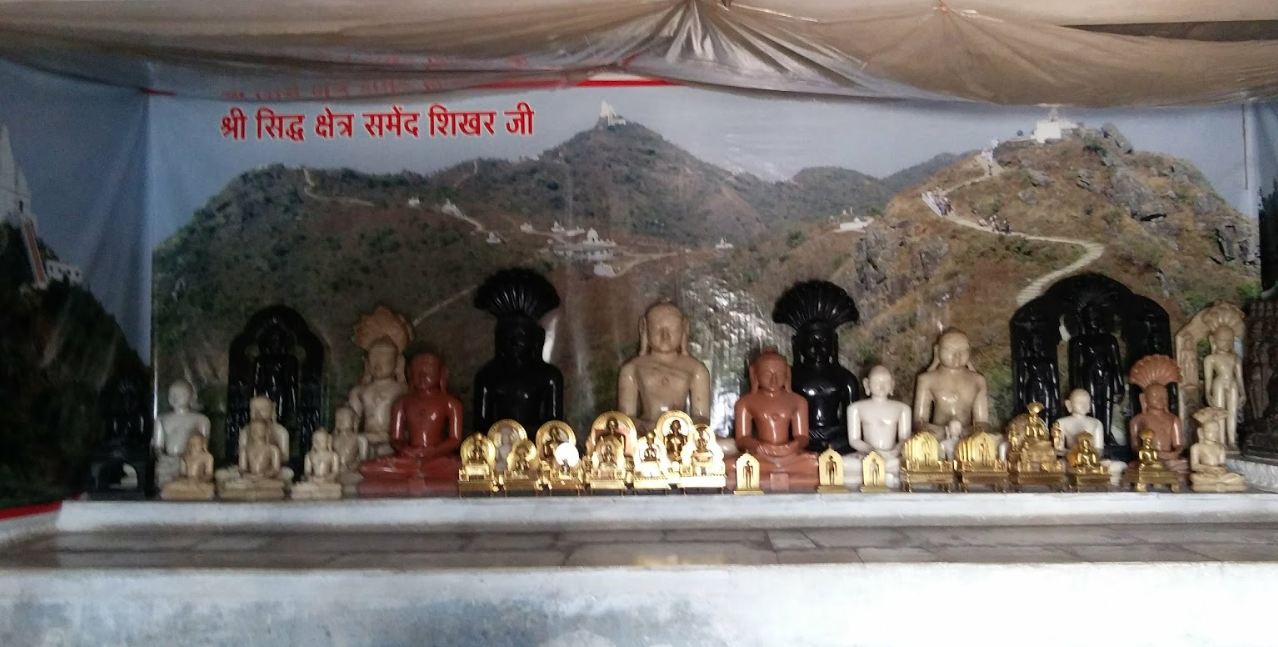 Shri Adinath Digamber Jain Atishaya Tirth Kshetra, Hanumantal, Jabalpur (M.P.) image 4
