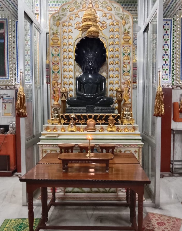 Shri Parshvnath Digamber Jain Mandir, Ward No 20, Moharpara, Manendragarh, Manendragarh-Chirmiri-Bharatpur (Chhattisgarh) image 3