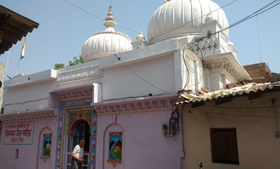 Shri 1008 Parshvnath Digamber Jain Mandir, Katra, Rewa (Madhya Pradesh) image 2