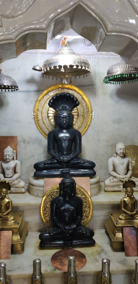 Shri Sankatmochan Aahu Parshvanath Digambar Jain Atishay Kshetra, Ahu, District-Dhar (M.P.) image 5