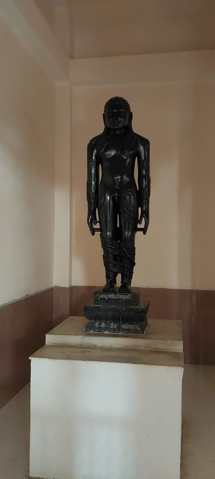 Shri 1008 Shantinath Digamber Jain Atishaya Kshetra Shramanyodaya Tirth Darguwanji, District-Tikamgarh (M.P.) image 9