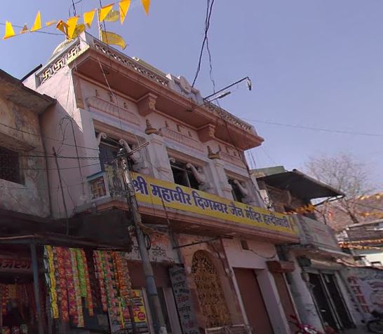 Shri Mahaveer Digamber Jain Mandir, Haldibari, Chirmiri, District - Koriya (Chhattisgarh) image 2