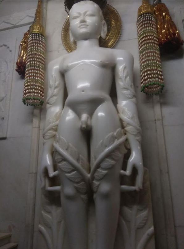 Shri Digamber Jain Mandir, Subhash Gunj, Ashok Nagar (M.P.) image 10