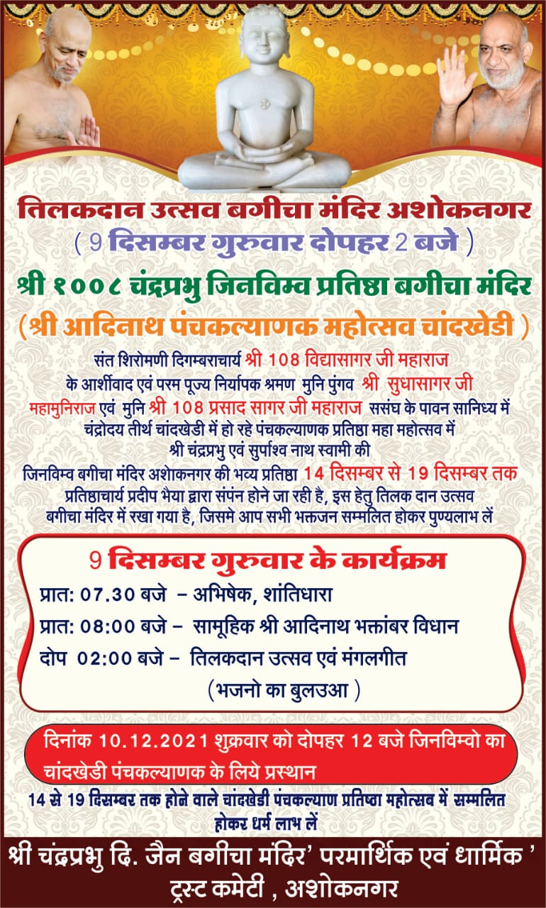 Shri Digamber Jain Chandraprabhu Jinalaya, Bagicha Mandir, Mandi Road, Ashok Nagar (M.P.) image 4