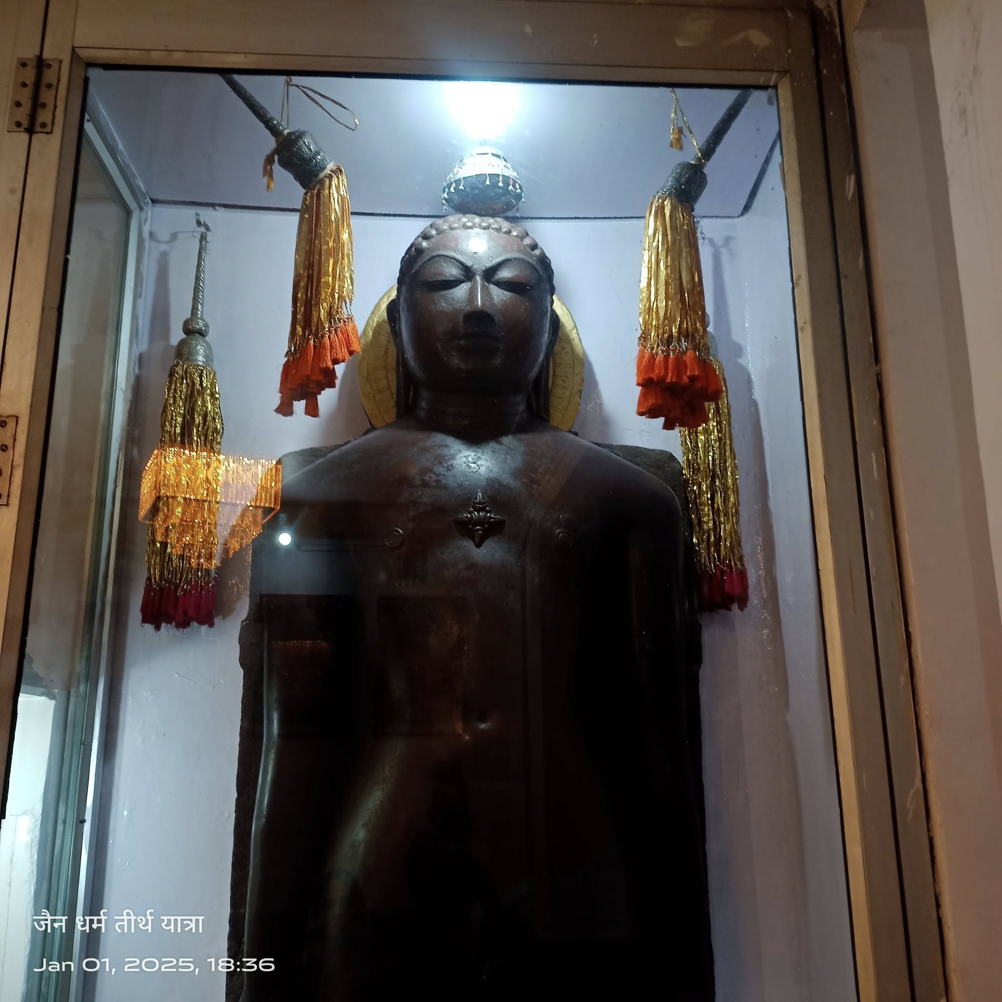 Shri 1008 Neminath Digamber Jain Mandir (Jhirno Ka Mandir),  Kohefiza, Bhopal (M.P.) image 1
