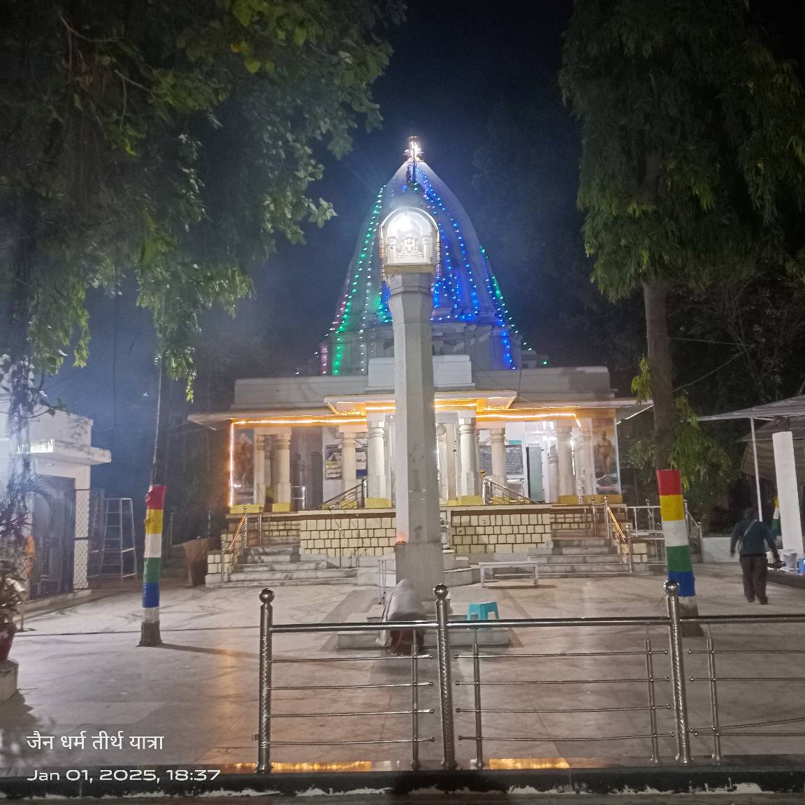 Shri 1008 Neminath Digamber Jain Mandir (Jhirno Ka Mandir),  Kohefiza, Bhopal (M.P.) image 2