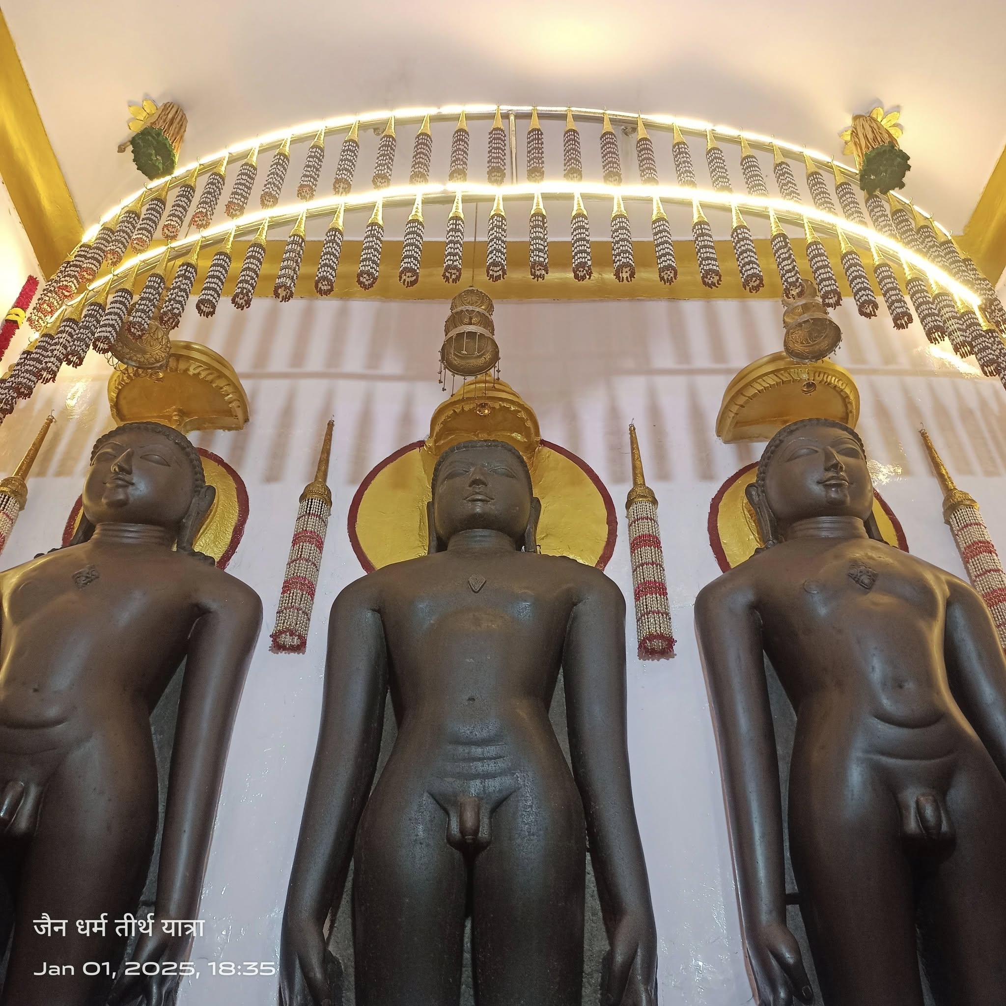 Shri 1008 Neminath Digamber Jain Mandir (Jhirno Ka Mandir),  Kohefiza, Bhopal (M.P.) image 4