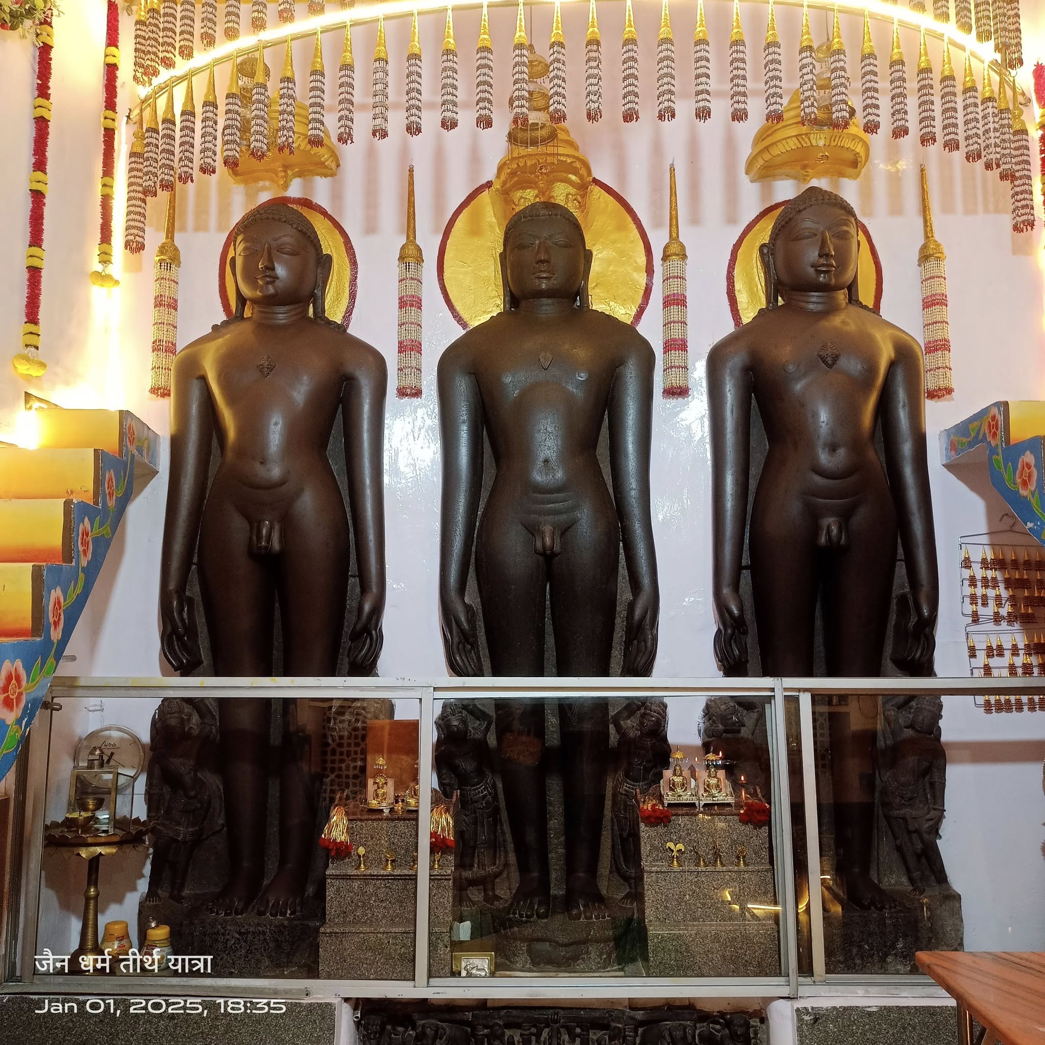 Shri 1008 Neminath Digamber Jain Mandir (Jhirno Ka Mandir),  Kohefiza, Bhopal (M.P.) image 5