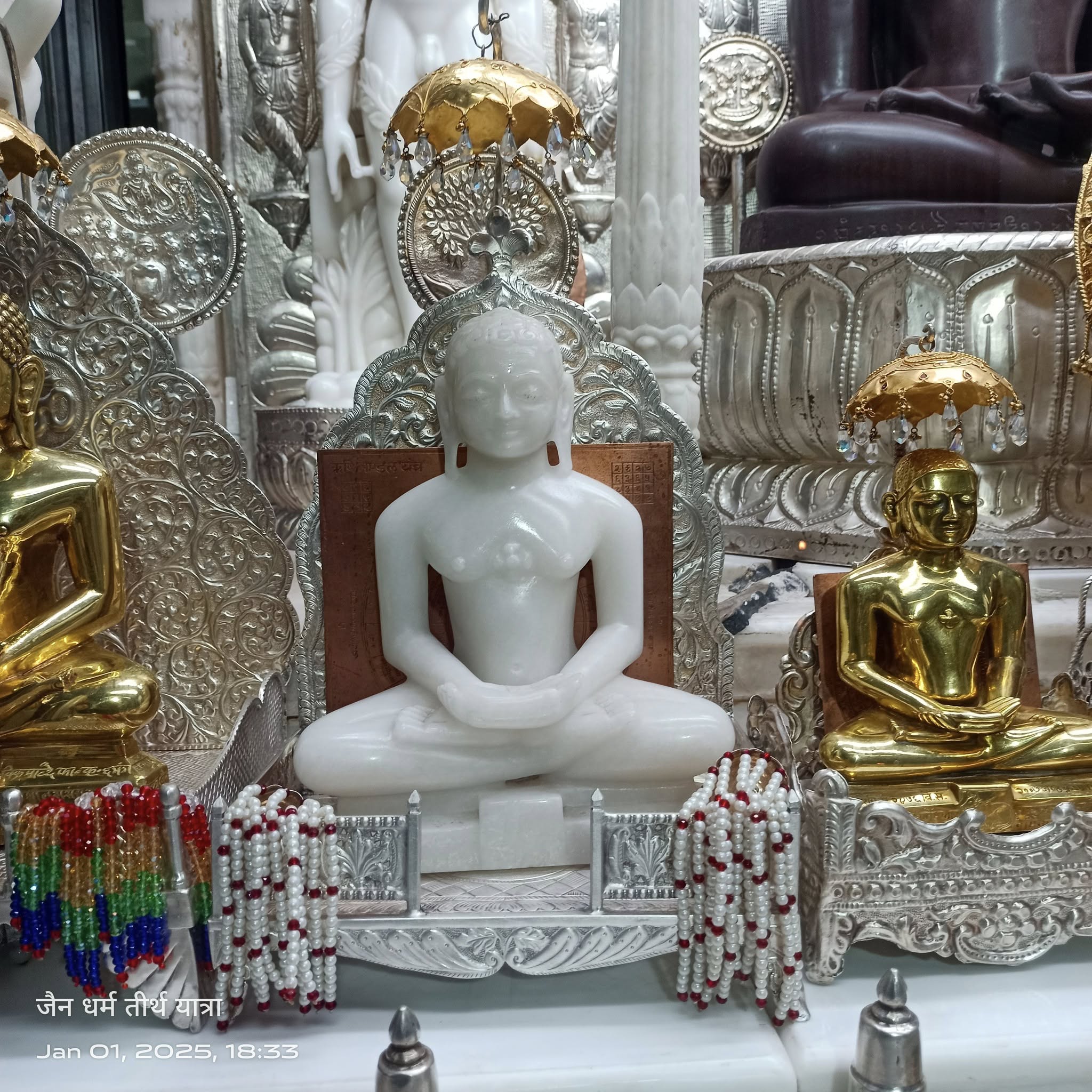 Shri 1008 Neminath Digamber Jain Mandir (Jhirno Ka Mandir),  Kohefiza, Bhopal (M.P.) image 6