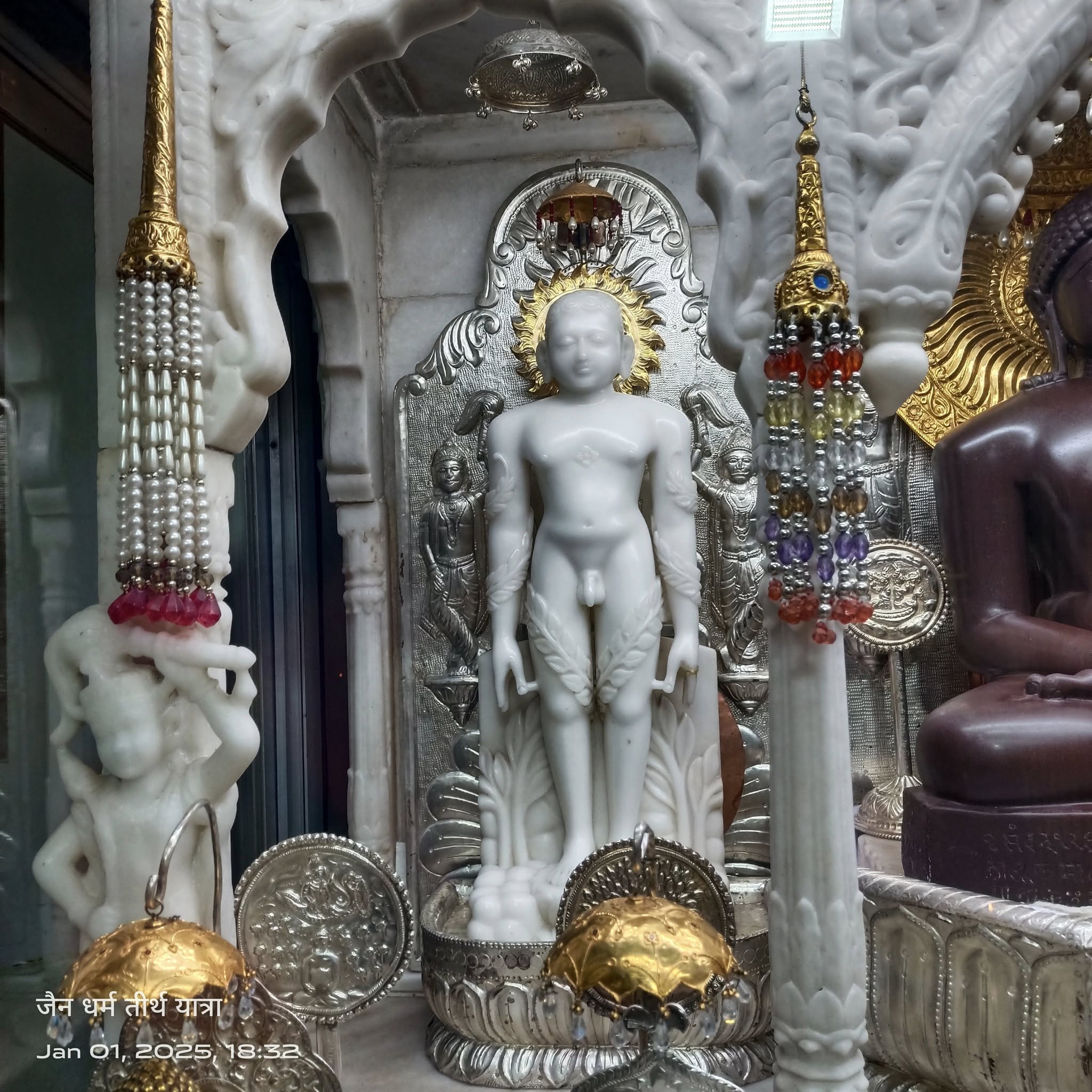 Shri 1008 Neminath Digamber Jain Mandir (Jhirno Ka Mandir),  Kohefiza, Bhopal (M.P.) image 8