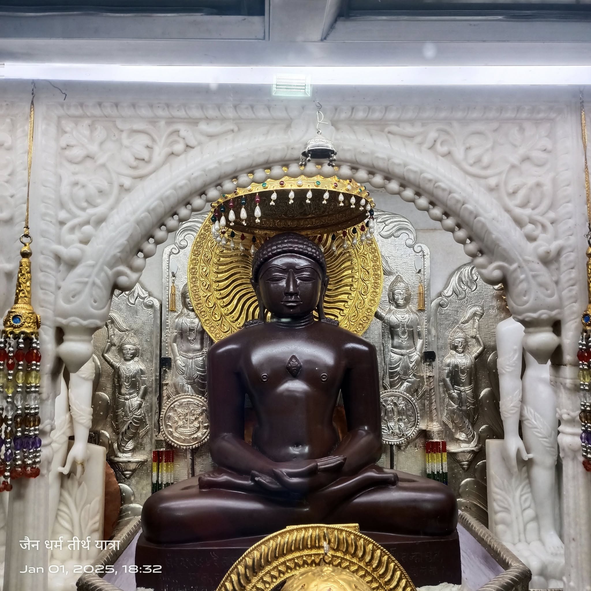 Shri 1008 Neminath Digamber Jain Mandir (Jhirno Ka Mandir),  Kohefiza, Bhopal (M.P.) image 9