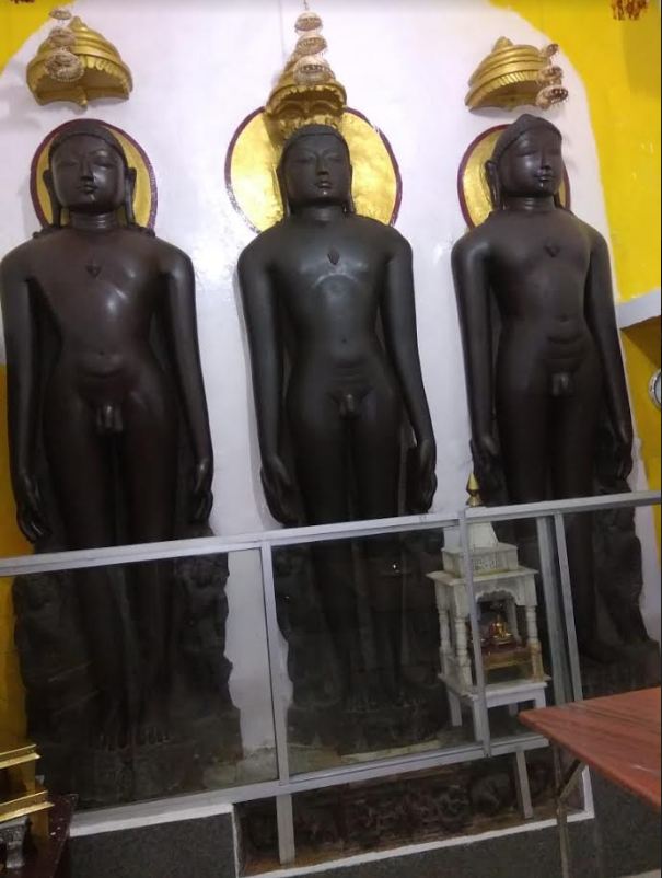 Shri 1008 Neminath Digamber Jain Mandir (Jhirno Ka Mandir),  Kohefiza, Bhopal (M.P.) image 16