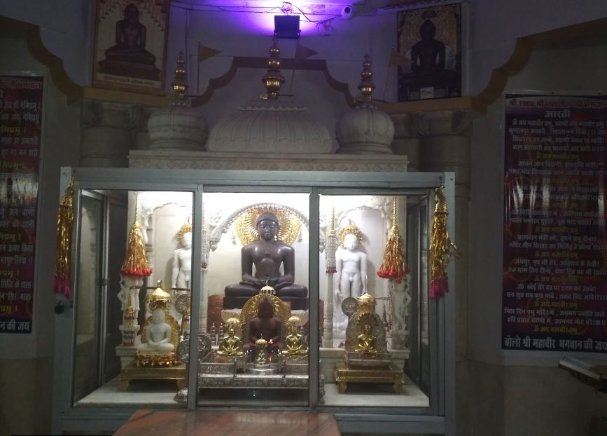 Shri 1008 Neminath Digamber Jain Mandir (Jhirno Ka Mandir),  Kohefiza, Bhopal (M.P.) image 17