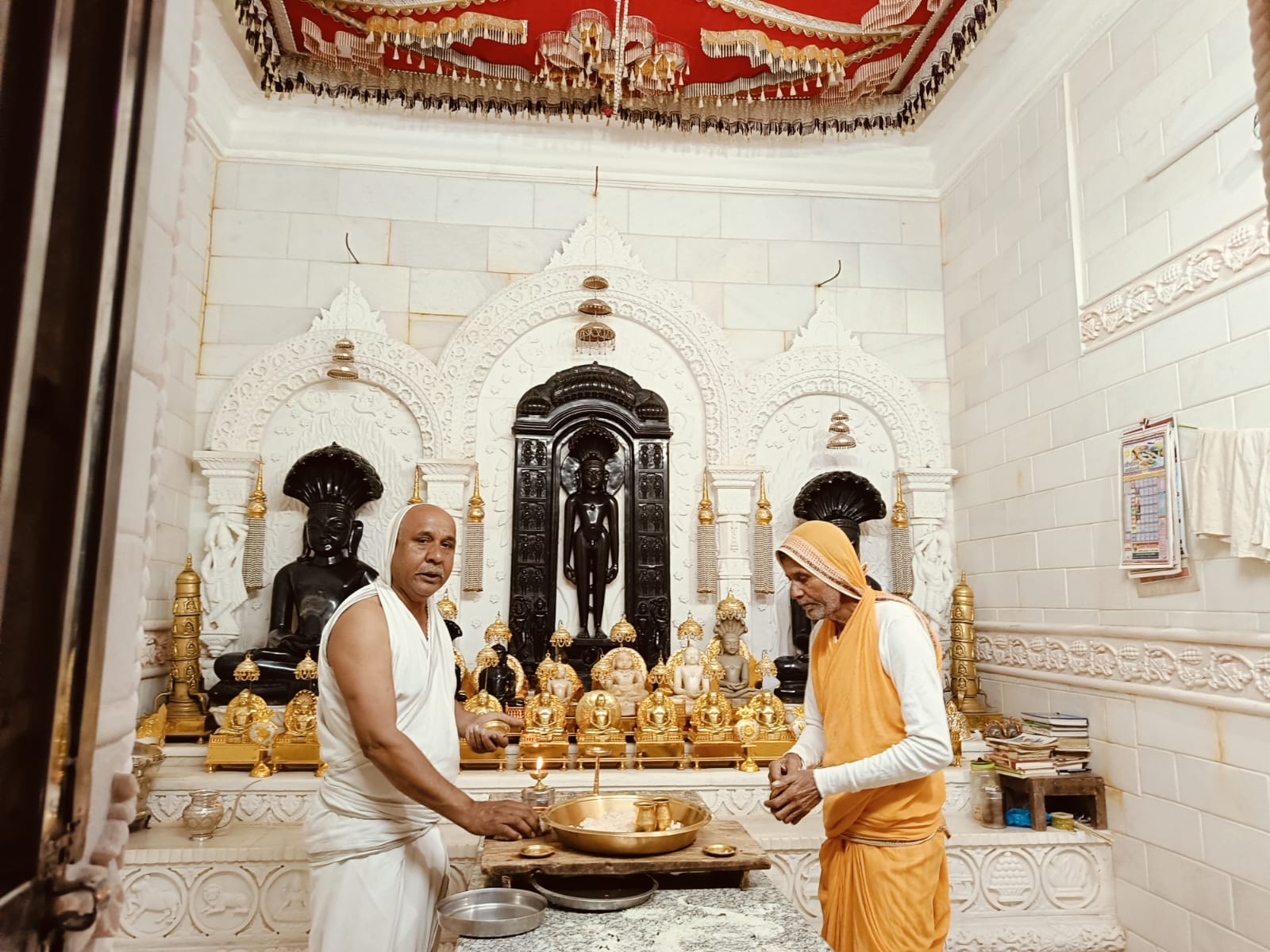 Shri Parshvnath Digamber Jain Mandir, Mohli, District - Sagar (Madhya Pradesh) image 13